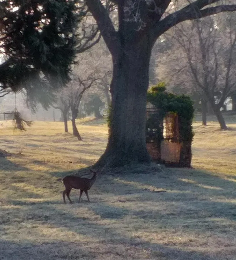 Domaine Berenguer Bed & Breakfast Ouches